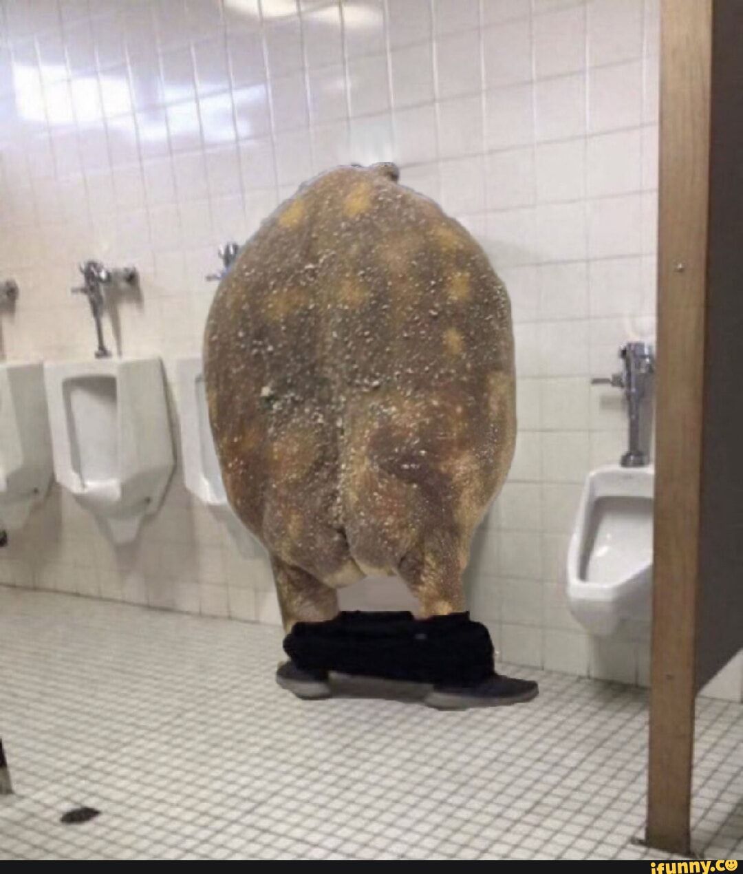 WhatsApp Image 2026-01-05 at 2.43.36 AM (1).jpeg